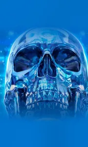 Crystal Skull