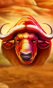 Buffalo Hold and Win Extreme